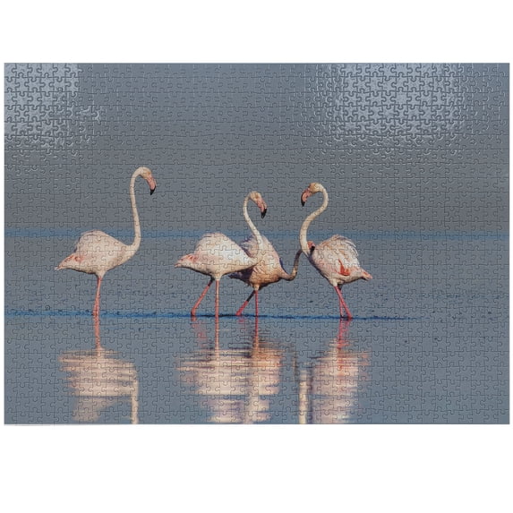 Ambesonne Flamingo Jigsaw Puzzle Durable Cardboard, Wild Birds in Water Scene, 1000 pcs, Blue Grey Blush Salmon