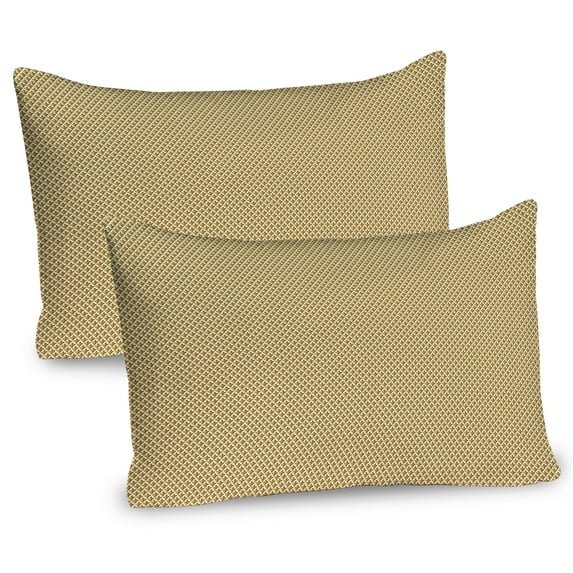 Ambesonne Fleur De Lis Pillow Sham 2 Pack, Simple Royal Pattern, 30"x20", Pale Coffee Green Brown