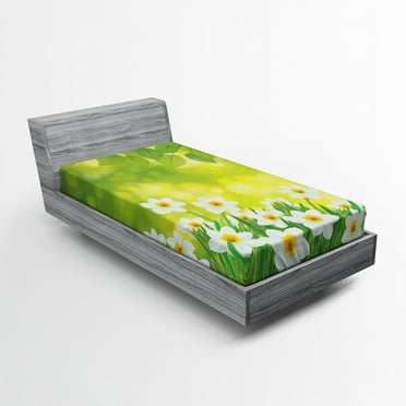 Ambesonne Floral Fitted Sheet, Daffodils Spring Petals, Twin XL Size, Green Yellow