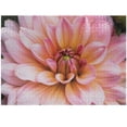 thumbnail image 1 of Ambesonne Floral Jigsaw Puzzle Durable Cardboard, Close up of Dahlia Flower, 1000 pcs, Multicolor, 1 of 1