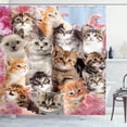thumbnail image 1 of Ambesonne Floral Kittens Shower Curtain, Funny Cats Flowers, 69"Wx70"L, Pale Pink Brown Blue, 1 of 2