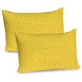thumbnail image 1 of Ambesonne Floral Pillow Sham 2 Pack, Ornamental Summer Daisies, 30"x20", Yellow Yellow, 1 of 3