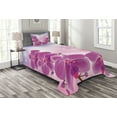 thumbnail image 1 of Ambesonne Floral Quilted Bedspread Set 2 Pcs, Exotic Orchid Flowers, Twin Size, Purple Pale Pink Blue, 1 of 3