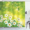 thumbnail image 1 of Ambesonne Floral Shower Curtain, Daffodils Spring Petals, 69"Wx84"L, Green Yellow, 1 of 5