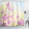 thumbnail image 1 of Ambesonne Floral Shower Curtain, Larkspur Petals Summer, 69"Wx84"L, Pale Green Pale Pink, 1 of 3