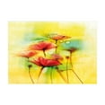 thumbnail image 1 of Ambesonne Flower Jigsaw Puzzle, Poppy Flowers Blossom, Heirloom-Quality Fun Activity for Family Durable Cardboard, 1000 pcs, Yellow Red, 1 of 5
