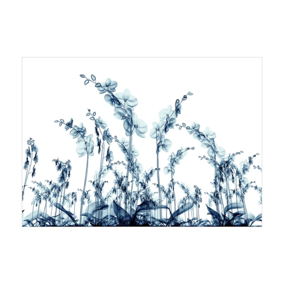 Ambesonne Flower Jigsaw Puzzle, Wild Orchid Flowers, Heirloom-Quality Fun Activity for Family Durable Cardboard, 1000 pcs, Teal White