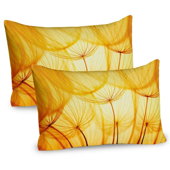 Ambesonne Flower Pillow Sham 2 Pack, Dandelion Summer Garden, 36"x20", Merigold and White
