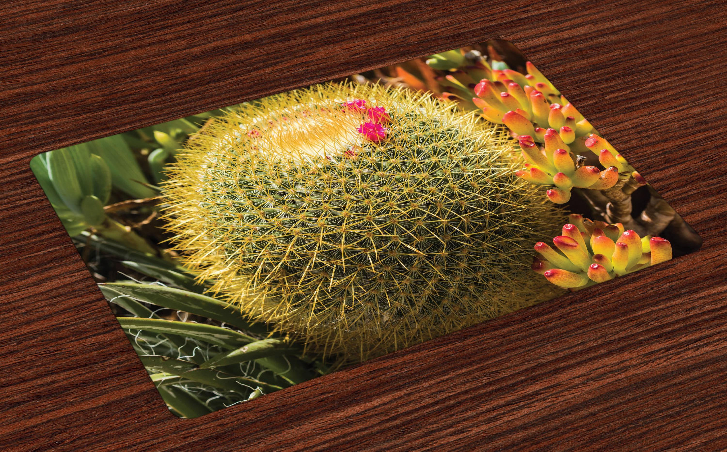 Ambesonne Flower Place Mats Set of 4, Cactus Plant with Spikes ...