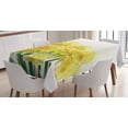 thumbnail image 1 of Ambesonne Flower Tablecloth Rectangular Table Cover, Paint of Daffodils Bouquet, 60"x90", Yellow Green, 1 of 4