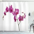 thumbnail image 1 of Ambesonne Flowers Shower Curtain, Wild Orchids Petals, 69"Wx70"L, Violet, 1 of 5