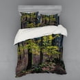 thumbnail image 1 of Ambesonne Forest Bedding Set 4 Pcs, Trees Autumn Wilderness, Queen, Green Pale Pink, 1 of 3