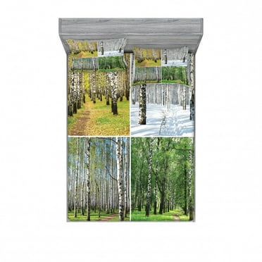 Ambesonne Forest Fitted Sheet & Pillow Sham Set, Fall Winter Birch Tree, Full, Green White