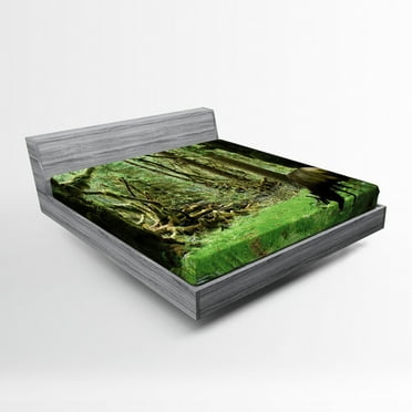 Ambesonne Forest Fitted Sheet, Roosevelt Elk in Park, Queen Size, Green Brown