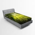 thumbnail image 1 of Ambesonne Forest Fitted Sheet, Scenic Morning in Nature, Twin XL Size, Green, 1 of 2