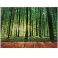 thumbnail image 1 of Ambesonne Forest Jigsaw Puzzle, Sunlight Forest Trees, Heirloom-Quality Fun Activity for Family Durable Cardboard, 1000 pcs, Green Brown, 1 of 2