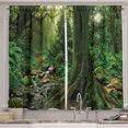 thumbnail image 1 of Ambesonne Forest Kitchen Curtains, Moss on Trees Stream, 55"x39", Green, 1 of 3