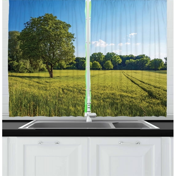Ambesonne Forest Kitchen Curtains, Uplifting Nature Photo, 55"x39", Green Blue