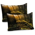 thumbnail image 1 of Ambesonne Forest Pillow Sham 2 Pack, Misty Morning Sun Rays, 36"x20", Brown Fern Green, 1 of 3