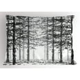 thumbnail image 1 of Ambesonne Forest Pillow Sham, Sketch Style Line Art, 26" X 20", Black Grey White, 1 of 2