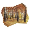 thumbnail image 1 of Ambesonne Forest Place Mats Set of 4, Autumn Leaves Design, Standard Size, Orange Brown, 1 of 6