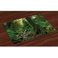 thumbnail image 1 of Ambesonne Forest Place Mats Set of 4, Moss on Trees Stream, Standard Size, Green, 1 of 4