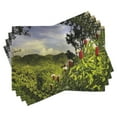 thumbnail image 1 of Ambesonne Forest Place Mats Set of 4, Rural Scenery Costa Rica, Standard Size, Green Red Violet Blue, 1 of 6