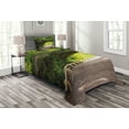 thumbnail image 1 of Ambesonne Forest Quilted Bedspread Set 2 Pcs, Nature Boardwalk Archway, Twin Size, Beige Green Brown, 1 of 3