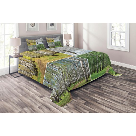 Ambesonne Forest Quilted Coverlet 3 Pcs, Fall Winter Birch Tree, Queen Size, Green White
