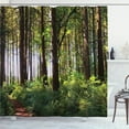 thumbnail image 1 of Ambesonne Forest Shower Curtain, Bushes and Thick Trunks, 69"Wx84"L, Green Brown, 1 of 5