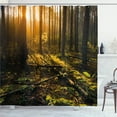 thumbnail image 1 of Ambesonne Forest Shower Curtain, Misty Morning Sun Rays, 69"Wx70"L, Brown Fern Green, 1 of 3