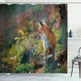 thumbnail image 1 of Ambesonne Fox Shower Curtain, Young Wild Fox in Woodland, 69"Wx70"L, Pale Brown White Green, 1 of 3