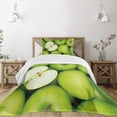 thumbnail image 1 of Ambesonne Fruits Quilted Bedspread Set 2 Pcs, Closeup Photo Green Apples, Twin Size, Apple Green and Cream, 1 of 6