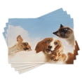 thumbnail image 1 of Ambesonne Funny Place Mats Set of 4, Cats Dogs in Sky Clouds, Standard Size, Multicolor, 1 of 6