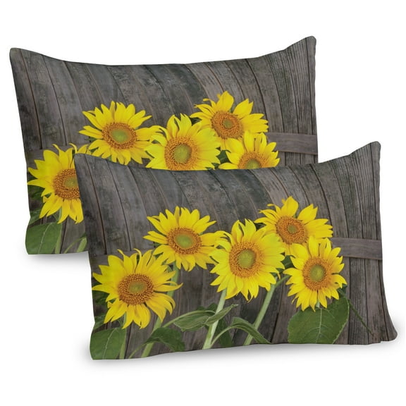 Ambesonne Garden Pillow Sham 2 Pack, Helianthus Sunflowers, 26"x20", Brown Yellow Green