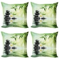 thumbnail image 1 of Ambesonne Garden Throw Pillow Cover 4 Pack, Frangipani Flowers Japanese, 20", Charcoal Grey and Pale Green, 1 of 6