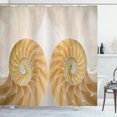 thumbnail image 1 of Ambesonne Geometric Shower Curtain, Symmetrical Seashells, 69"Wx75"L, Cream White, 1 of 5