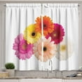 thumbnail image 1 of Ambesonne Gerber Daisy Kitchen Curtains, Floral Scenery Print, 55"x36", Hot Pink and Dark Orange, 1 of 1