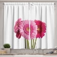 thumbnail image 1 of Ambesonne Gerber Daisy Kitchen Curtains, Studio Floral Print, 55"x24", Soft Pink Green Brown, 1 of 3