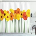 thumbnail image 1 of Ambesonne Gerber Daisy Shower Curtain, Flowers on Green Stems, 69"Wx70"L, Orange Yellow and Green, 1 of 3