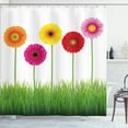 thumbnail image 1 of Ambesonne Gerber Daisy Shower Curtain, Vivid Flowers on Grass, 69"Wx84"L, Multicolor, 1 of 5