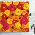 thumbnail image 1 of Ambesonne Gerber Daisy Shower Curtain, Warm Tones Flowers, 69"Wx84"L, Multicolor, 1 of 5