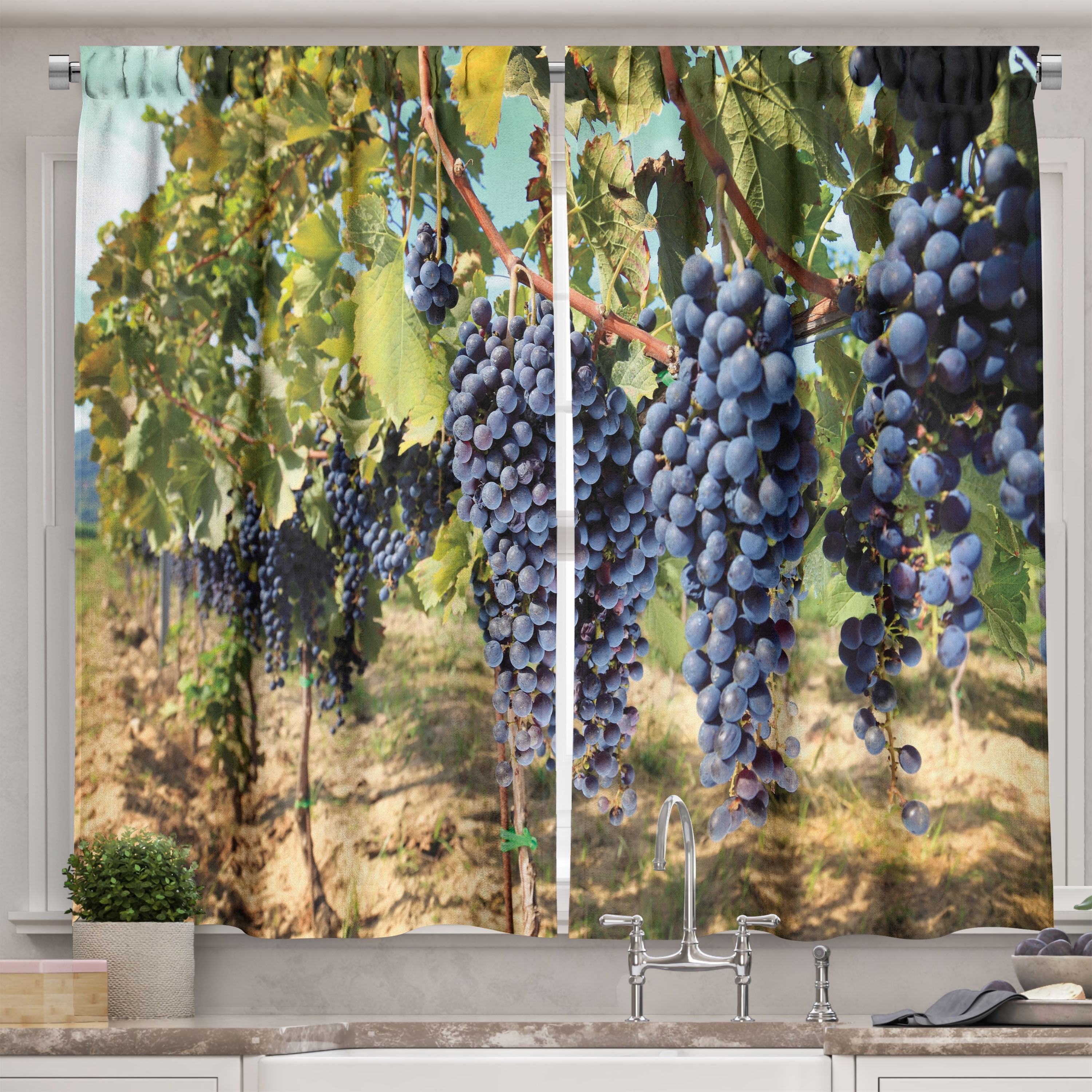 Ambesonne Grape Kitchen Curtains, Rows of Wine Fruits in Italy, 55"x45