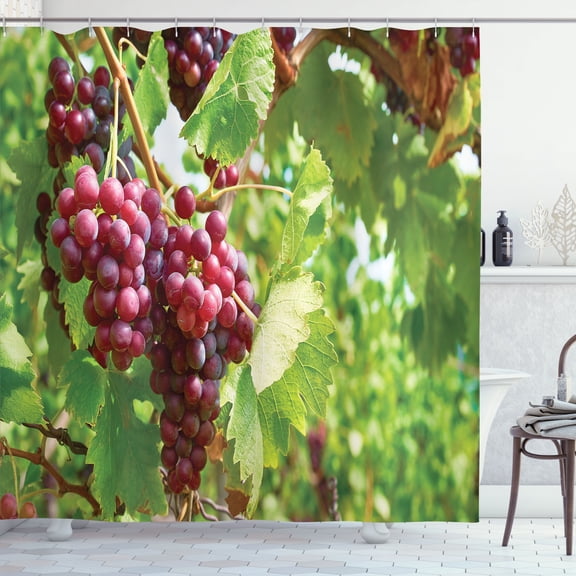 Ambesonne Grape Shower Curtain, Bunch of Wine Fruits Foliage, 69"Wx70"L, Lime Green Dark Coral