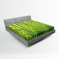 thumbnail image 1 of Ambesonne Green Fitted Sheet, Nature Scenery Close up Scene, Queen Size, Apple Green, 1 of 2