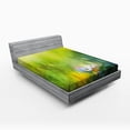 thumbnail image 1 of Ambesonne Green Fitted Sheet, Pastoral Chamomile, Full Size, Green White, 1 of 2