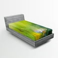 thumbnail image 1 of Ambesonne Green Fitted Sheet, Pastoral Chamomile, Twin XL Size, Green White, 1 of 2