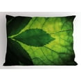 thumbnail image 1 of Ambesonne Green Pillow Sham, Brazilian Tree Leaf Eco, 36" X 20", Olive and Dark Green, 1 of 2