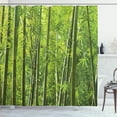 thumbnail image 1 of Ambesonne Green Shower Curtain, Exotic Tropical Asian Leaf, 69"Wx70"L, Green, 1 of 4