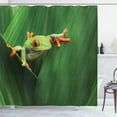 thumbnail image 1 of Ambesonne Green Shower Curtain, Exotic Wild Macro Leaf, 69"Wx84"L, Green, 1 of 5